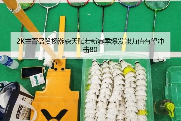 2K主管盛赞杨瀚森天赋若新赛季爆发能力值有望冲击80
